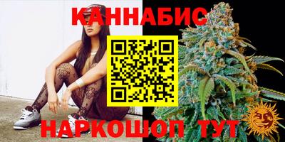 индика Балахна